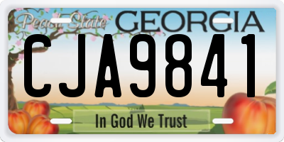GA license plate CJA9841