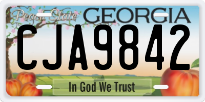 GA license plate CJA9842
