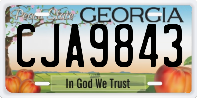GA license plate CJA9843