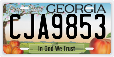 GA license plate CJA9853