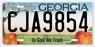 GA license plate CJA9854