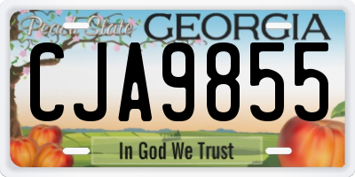 GA license plate CJA9855