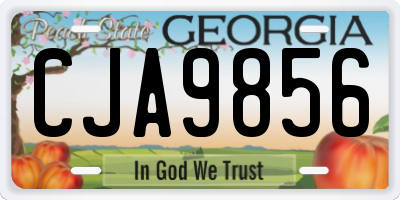 GA license plate CJA9856