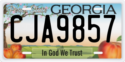 GA license plate CJA9857