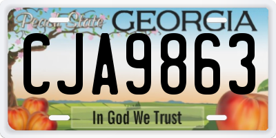 GA license plate CJA9863