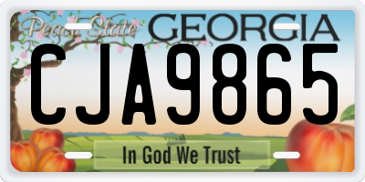 GA license plate CJA9865