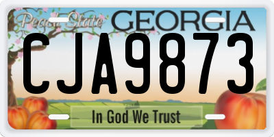 GA license plate CJA9873