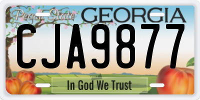 GA license plate CJA9877