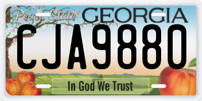 GA license plate CJA9880