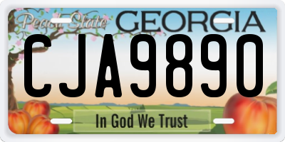 GA license plate CJA9890