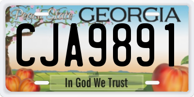 GA license plate CJA9891