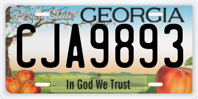 GA license plate CJA9893