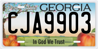 GA license plate CJA9903