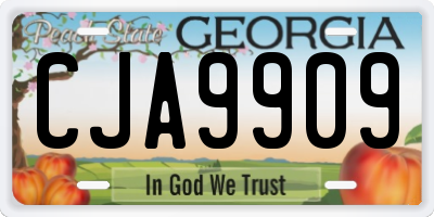 GA license plate CJA9909