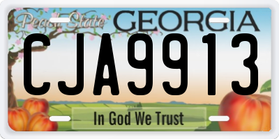 GA license plate CJA9913