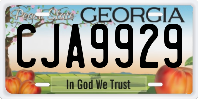 GA license plate CJA9929