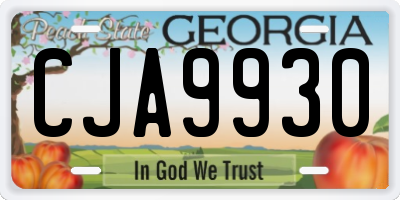 GA license plate CJA9930