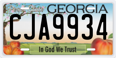GA license plate CJA9934