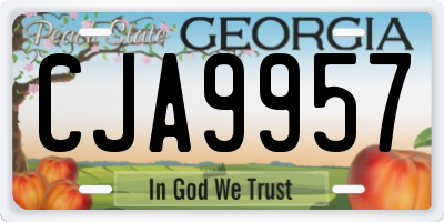 GA license plate CJA9957