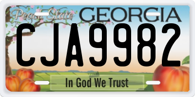 GA license plate CJA9982