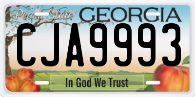 GA license plate CJA9993