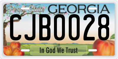 GA license plate CJB0028