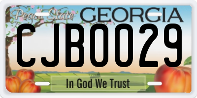 GA license plate CJB0029