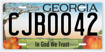 GA license plate CJB0042