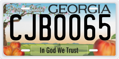 GA license plate CJB0065