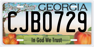 GA license plate CJB0729