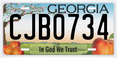 GA license plate CJB0734