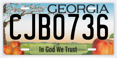GA license plate CJB0736