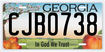 GA license plate CJB0738