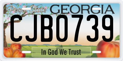 GA license plate CJB0739