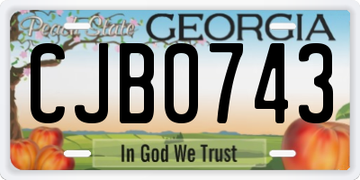 GA license plate CJB0743