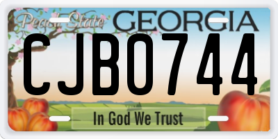 GA license plate CJB0744