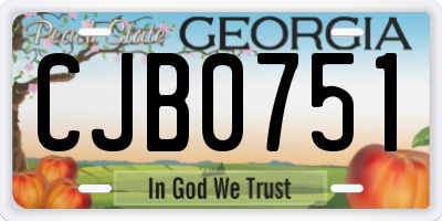 GA license plate CJB0751
