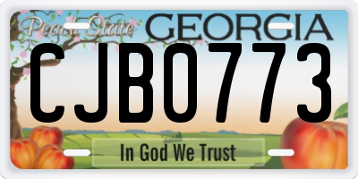 GA license plate CJB0773