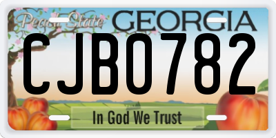GA license plate CJB0782