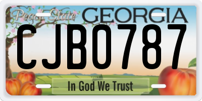 GA license plate CJB0787