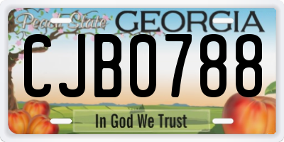 GA license plate CJB0788