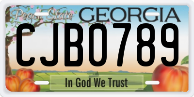 GA license plate CJB0789