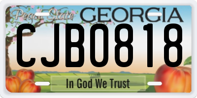 GA license plate CJB0818