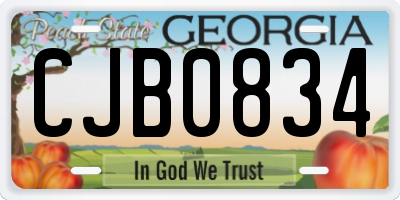 GA license plate CJB0834