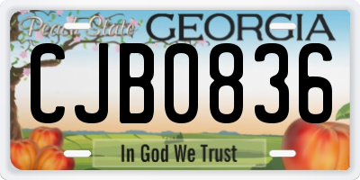 GA license plate CJB0836