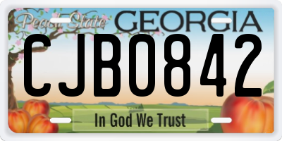 GA license plate CJB0842
