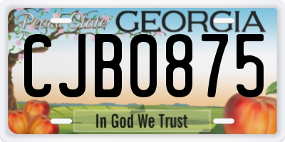 GA license plate CJB0875