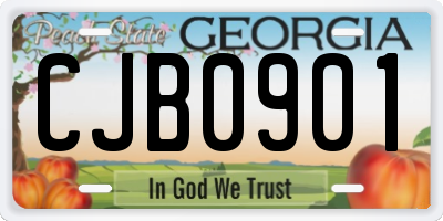 GA license plate CJB0901