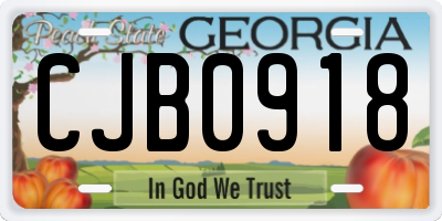 GA license plate CJB0918
