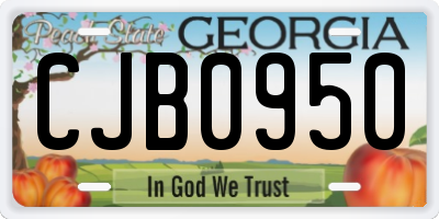 GA license plate CJB0950